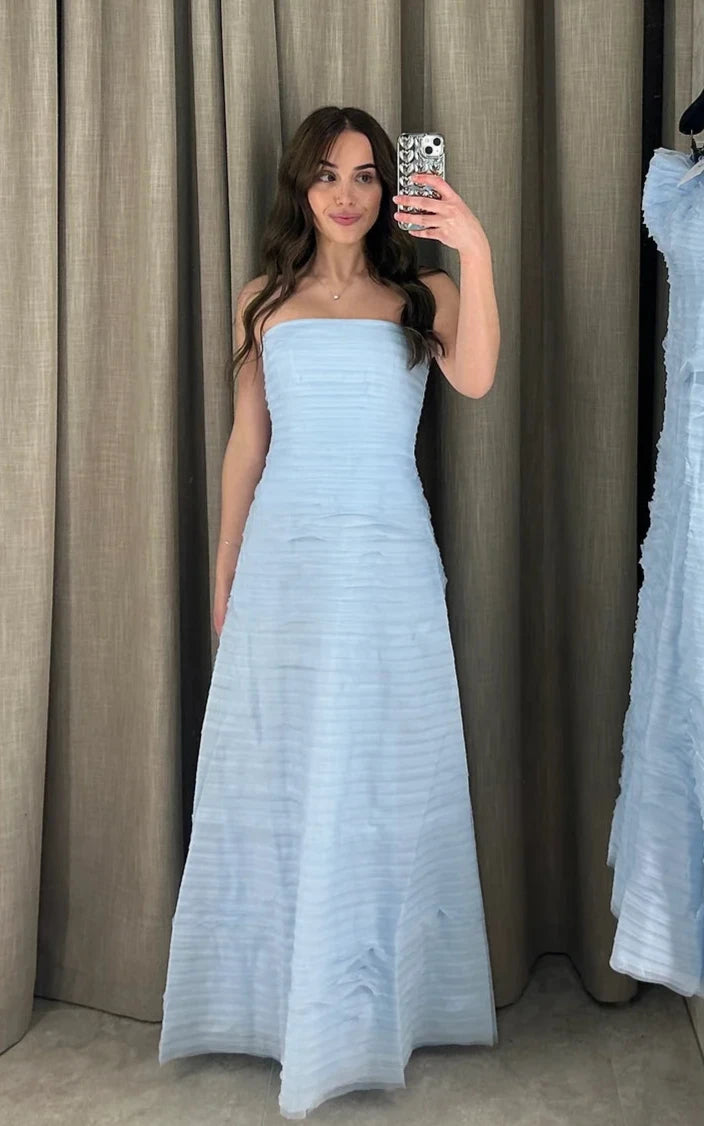 Soundscape Maxi Dress (Baby Blue) Elegant Sleeveless Maxi Dress